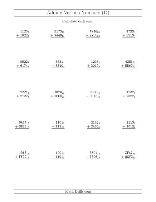 The Adding Various Base Numbers (D) Math Worksheet