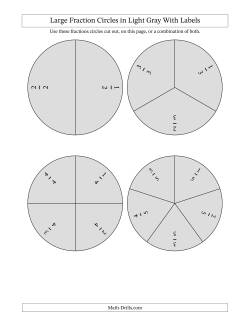 Large Fraction Circles in Light Gray With Labels