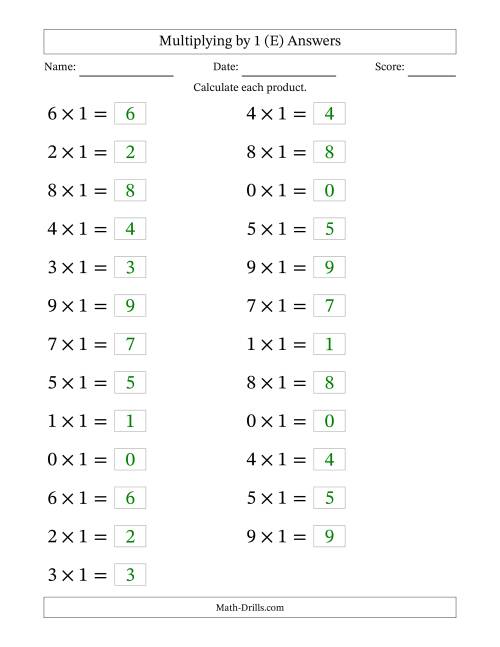 The Horizontally Arranged Multiplying (0 to 9) by 1 (25 Questions; Large Print) (E) Math Worksheet Page 2