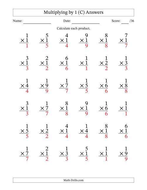 The Multiplying (1 to 9) by 1 (36 Questions) (C) Math Worksheet Page 2