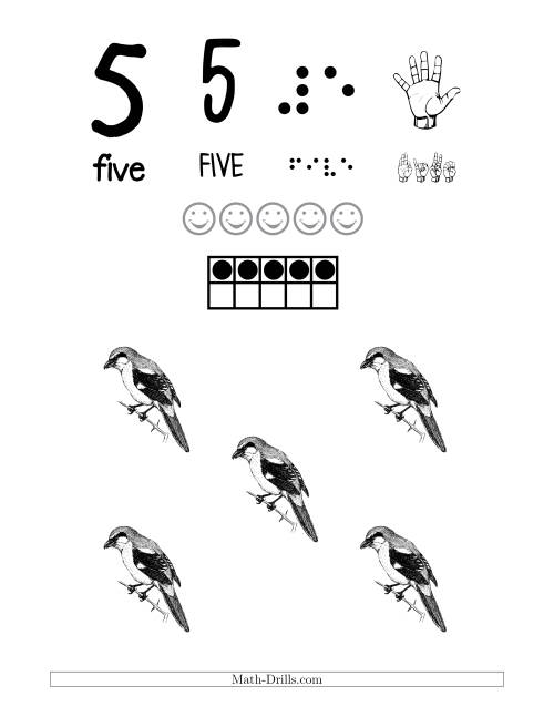 The Number 5 Recognition Poster with a Bird Theme Math Worksheet