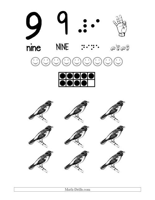 The Number 9 Recognition Poster with a Bird Theme Math Worksheet